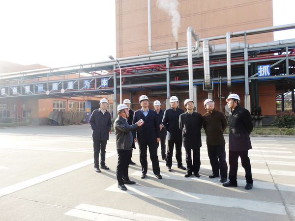 长李小平来滨江经济开发区督查节后复产复工工