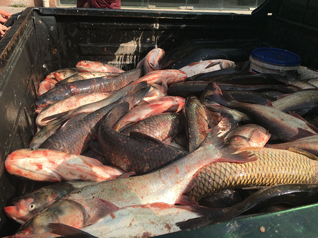 中国常州高新区 - 【敬老院】常州高铁客运中心