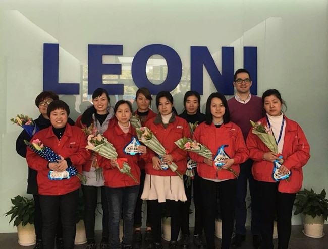 中国常州高新区 - 莱尼电气线缆(中国)有限公司