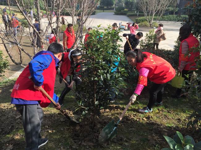 飞龙社区：“熟人社区 乐居飞龙”——开展植树节志愿服务活动