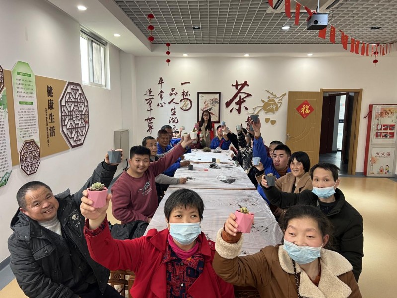 律动人心，多肉种植