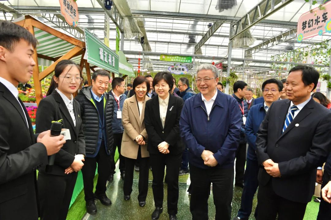 全国政协领导来区调研乡村振兴工作