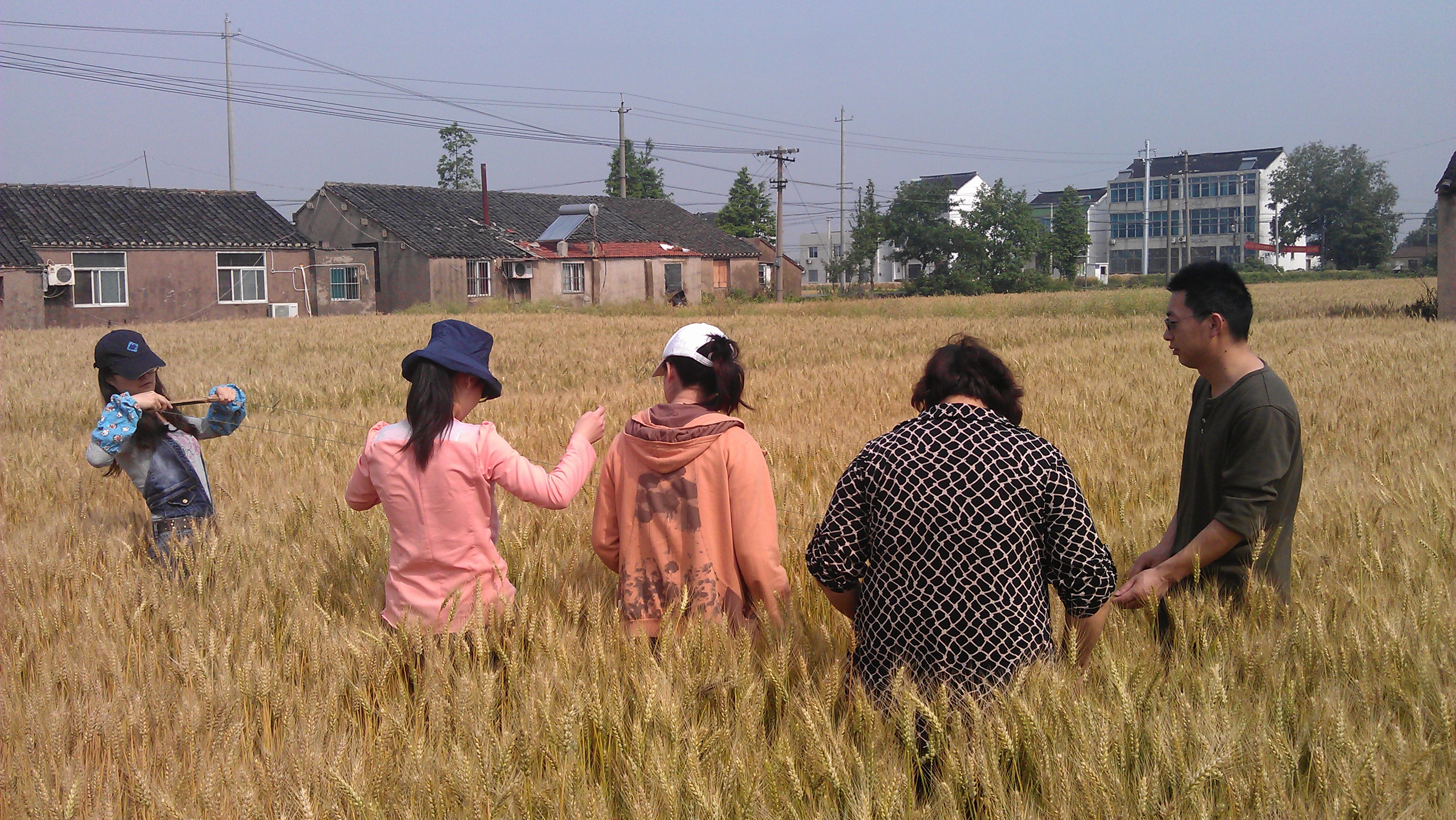 2013052214122118591.jpg