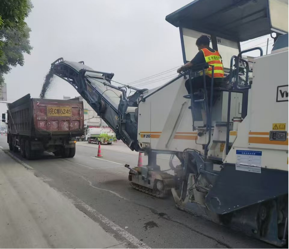 区市政绿化管理所开展县乡道路排查工作