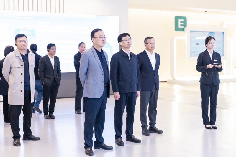 新北区开展2025年人大代表集中视察活动