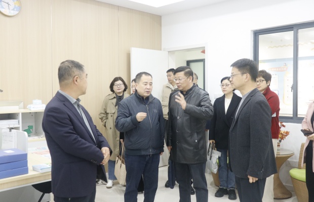 龙城小学接受青少年心理健康工作实地调研