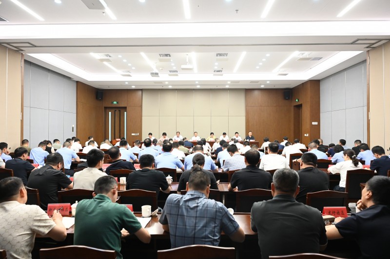 全区基层治理工作专题推进会召开